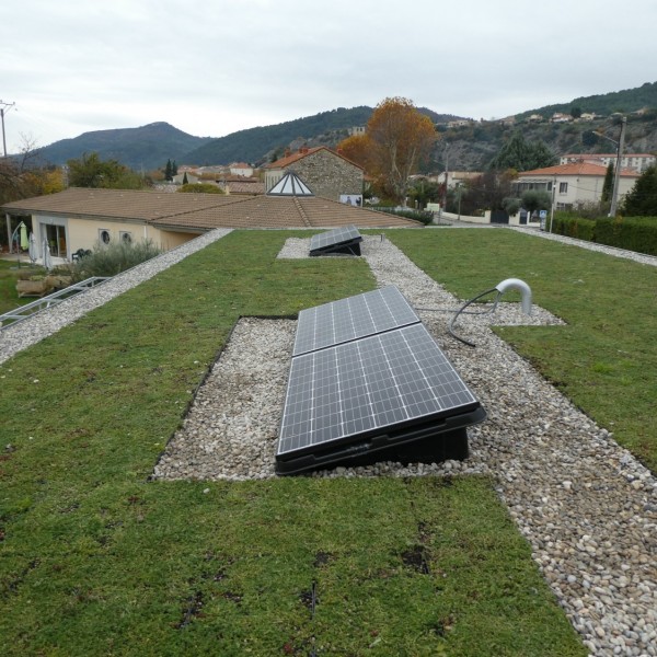 toiture végétalisée et panneaux photovoltaïques