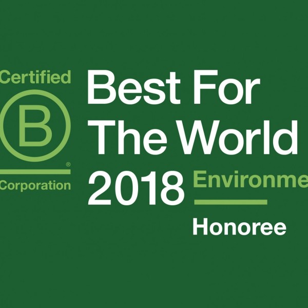 B Corp Best for the World Environment