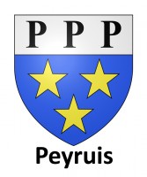 Peyruis logo